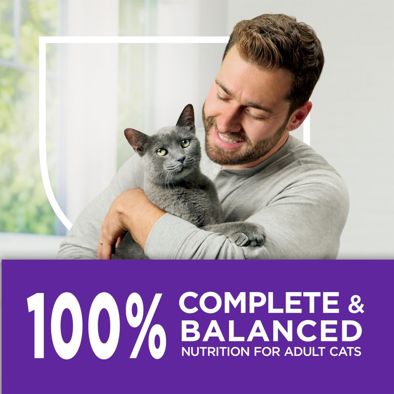 Purina Cat Chow Gentle Sensitive Stomach and Skin Dry Cat