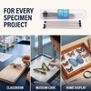 100 Pcs Insect Pins Specimen Pins Stainless Steel with Plastic