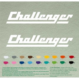 Pair of Challenger Vintage Boats Compatible Replacement Decals Vinyl Stickers Outboard Motor Set of 2 Non OEM (18", White 010)