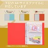 Lion Office Products Pocket Organization File Folders