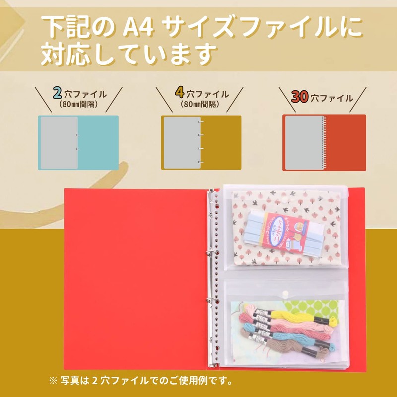 Lion Office Products Pocket Organization File Folders