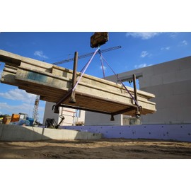 Braun 10012HB Hebeband 1000 kg Tragkraft, 1 m Länge mit verstärkten Endschlaufen, violett