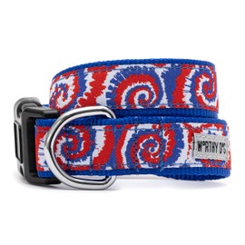 The Worthy Dog Kaleidoscope Collar -Strong Nylon Material Adjustable Durable Stylish Comfortable Dog Collar Pet Accessories in Multicolor Small Size