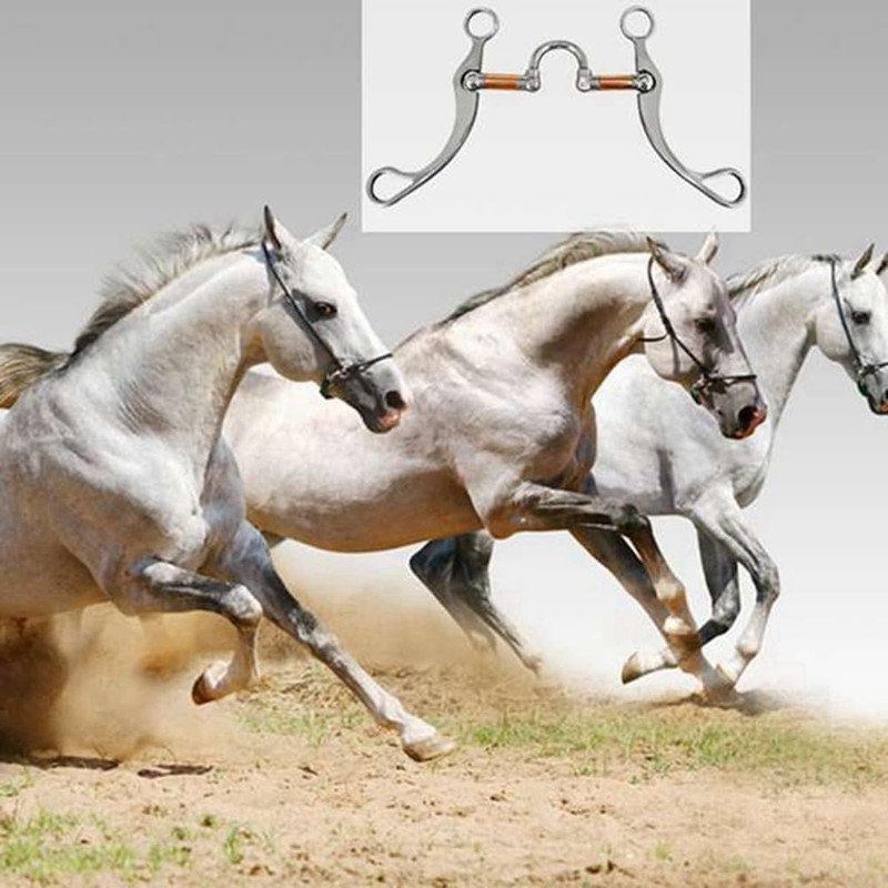 Daiilg Stainless Steel Snaffle Bit Horse Bits Western Snaffle Bits