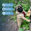 Best Pet Supplies - All Weather Mesh, Reflective, No Pull