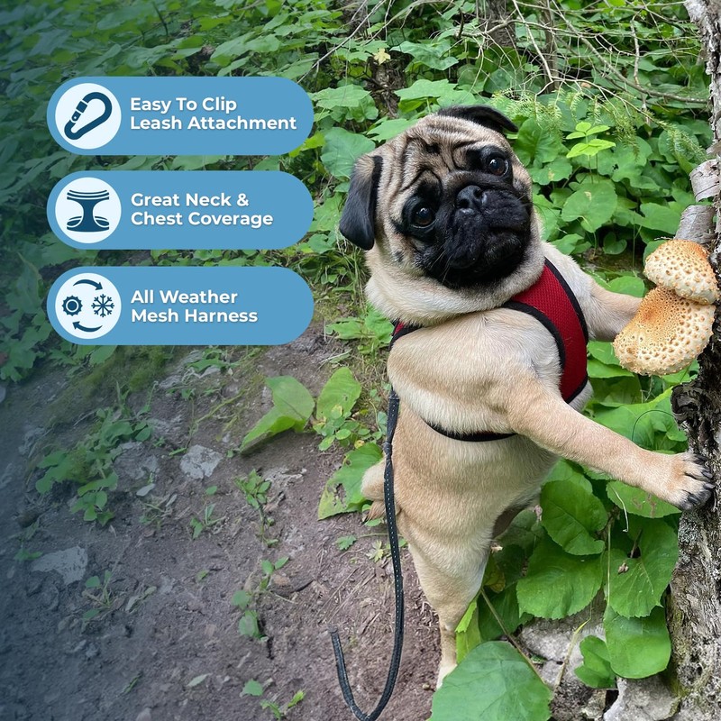 Best Pet Supplies - All Weather Mesh, Reflective, No Pull