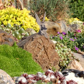 Relaxdays Garden Fairy, Outdoor Garden Decoration, Elf Figure, Weatherproof & Frost-Proof, Garden Figure Pond, Artificial Stone, Blue/Beige