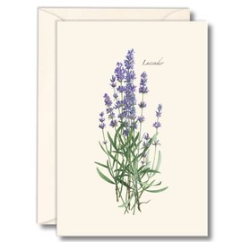Earth Sky + Water - Lavender Notecard Set - 8 Blank Cards with Envelopes