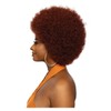 Mane Concept Red Carpet Afro 10" Long Full Wig RCP1081