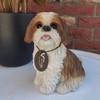 Vivid Arts - Real Life-like Shih-Tzu - XRL-SZ12-D