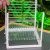 Hobby Nido Spawning Container