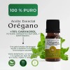 Aceite Esencial Orégano Zeliha 100 Puro, Turquía, 15ml 2pz