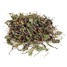 300g of fresh herbs domestic dandelion / 신선약초 국산 민들레 300g