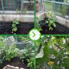 GardenGloss® Trellis Net with Large Mesh Size for Particularly Yielding