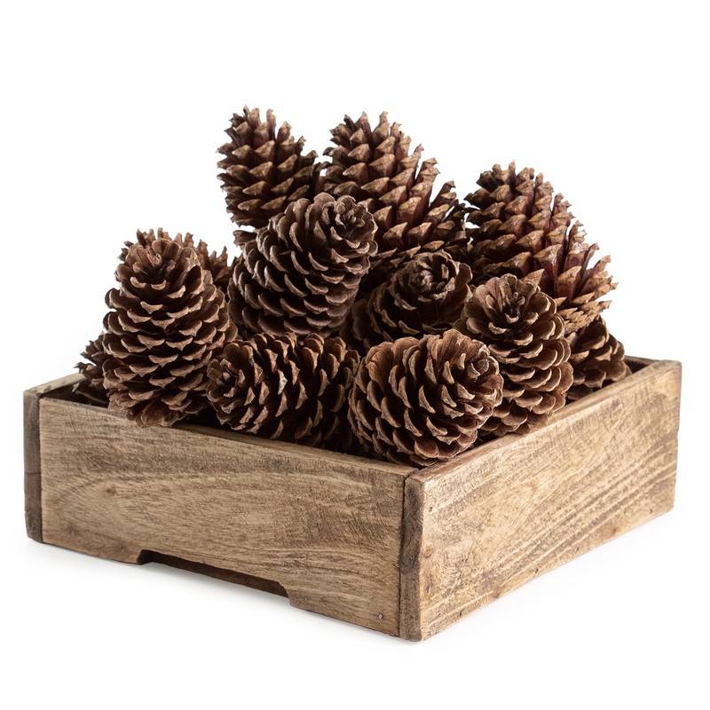 ANDALUCA Pinecone Vase & Bowl Fillers | Scented Pine Cones
