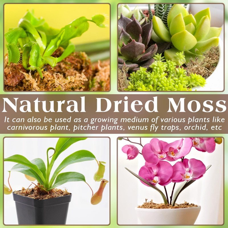 ZeeDix 6 oz Premium Sphagnum Moss for Reptiles, 8 qt