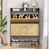VTRIN Shoe Cabinet for Entryway Shoe Storage Cabinet with 2
