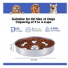 GLYVIAN GLYVIAN Slow Feeder Dog Bowls Stainless Steel Bowls with