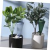 BESPORTBLE 2pcs Self Watering Spikes Automatic Drippers for Plants Drip