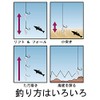 Fujiwara Natsume Rig No. 30, 1 piece