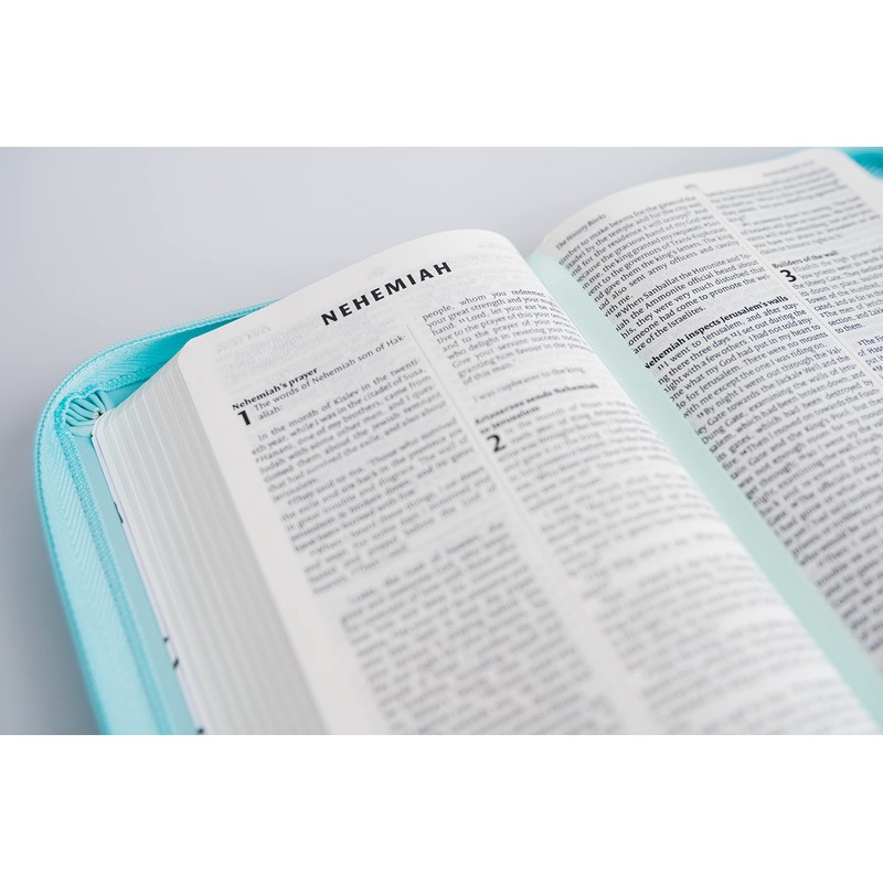 NIV Pocket Mint Soft-tone Bible with Zip