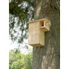 JCS Wildlife Plywood Squirrel House Nesting Box – Durable, Spacious