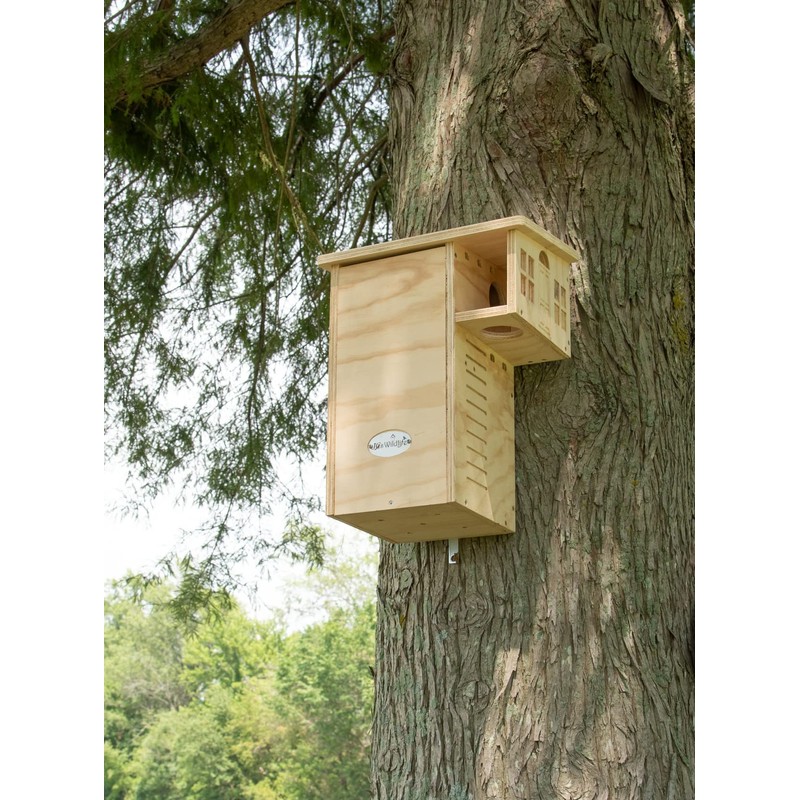 JCS Wildlife Plywood Squirrel House Nesting Box – Durable, Spacious