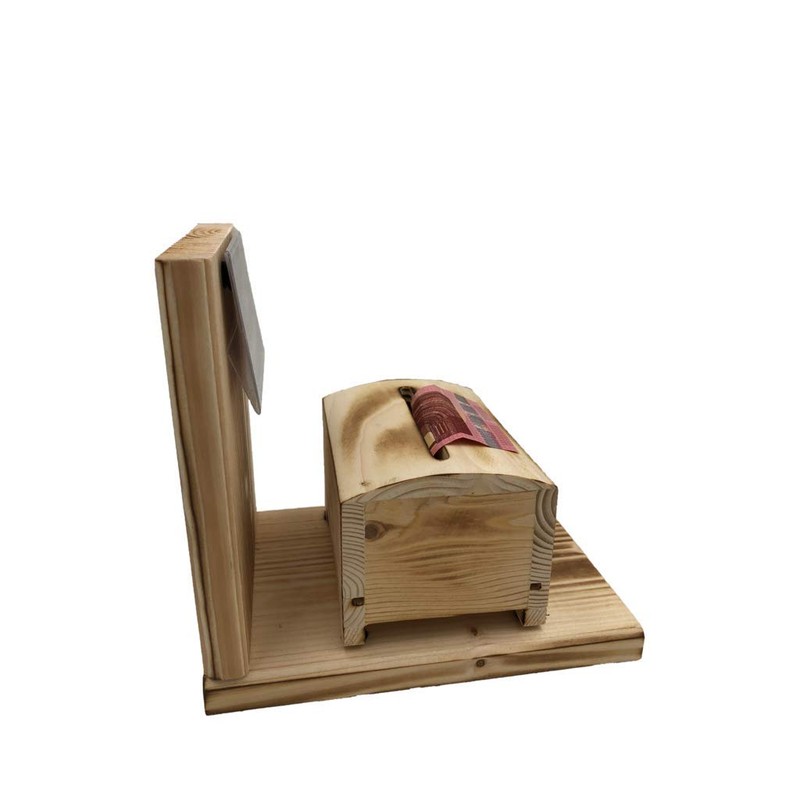 Valentine's Day Money Gift – Iron Reserve Money Box Money
