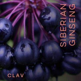 CLAV® Siberian Ginseng - 900mg Eleuthero Root Powder - Energy Supplement - Reduction of Tiredness & Fatigue - 60 Ginseng Capsules - Made in Germany