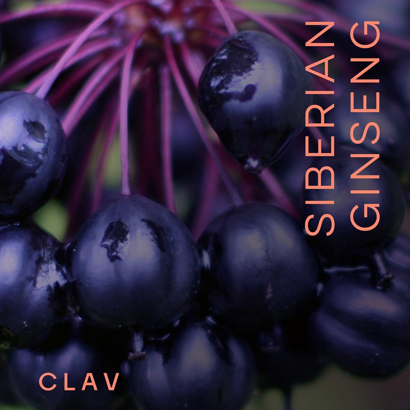 CLAV® Siberian Ginseng - 900mg Eleuthero Root Powder - Energy