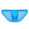 Getaline GTLINE Favolic Shiny Mesh Bikini, Shiny, Translucent, See-through Style,