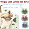 MBVBN 3 Piezas Catnip Ball，un Juguete para Gatos Interactivo de