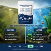 Aqua Guardian Pro Formula for Pond, Long-Lasting Clean Water,Decorative Water