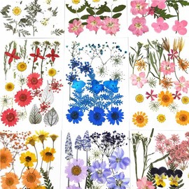 Flores secas Ligeras, Hermosas Plantas secas, Adorno de, Arte de uñas, Flores prensadas, Pegatinas DIY para Velas de aromaterapia, Tipo 6