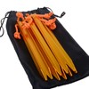 Azarxis Outdoors Tent Stakes Pegs Pack of 10 with 4x4m