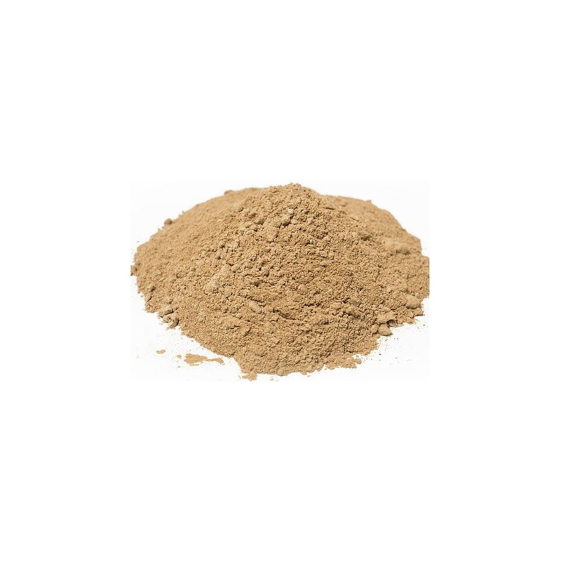 Naturejam Organic Lions Mane Mushroom Powder 1 Pound Bulk-Premium Culinary