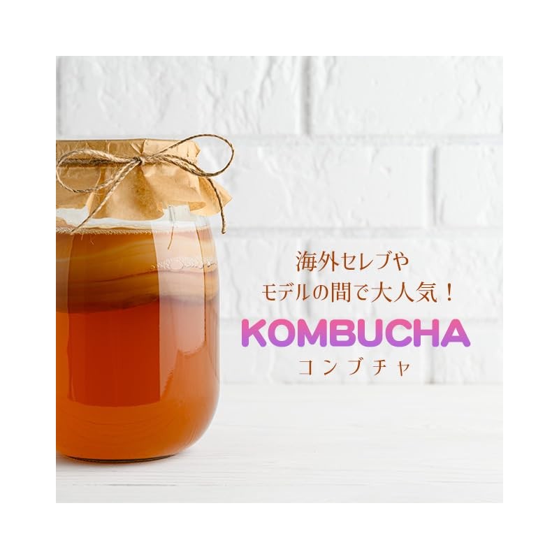 【リプサ公式】 コンブチャダイエット 約1か月分 T-649 サプリメント