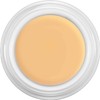 Kryolan Dermacolor Camouflage Make-Up 4 g Tub Colour D3