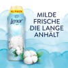 Lenor Light Laundry Perfume Fresh Cotton Blossom 735 g for