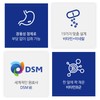 Bewell 장용성 비타민 이뮨 종합비타민 미네랄 비타민B1 B2 B6 B12