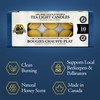 Dutchman's Gold Beeswax Tea Lites - Ultrafiltered, Pure Canadian Beeswax