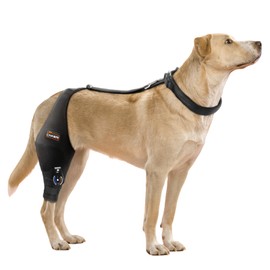 CHAMIN Adjustable Dog Knee Brace for Torn ACL Hind Leg, Support for Tear Ligament, Osteoarthritis, Rear Leg Limp, Recovery After Surgery,et(Right Leg,XL)