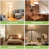 Sigalux EnergyPro, High-Efficiency LED Light Bulbs 60W Equivalent A19 2700K