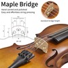 FDT&ENJOY Violin for Beginners Adults,1/2 Acoustic Violins, Beginner Kit For