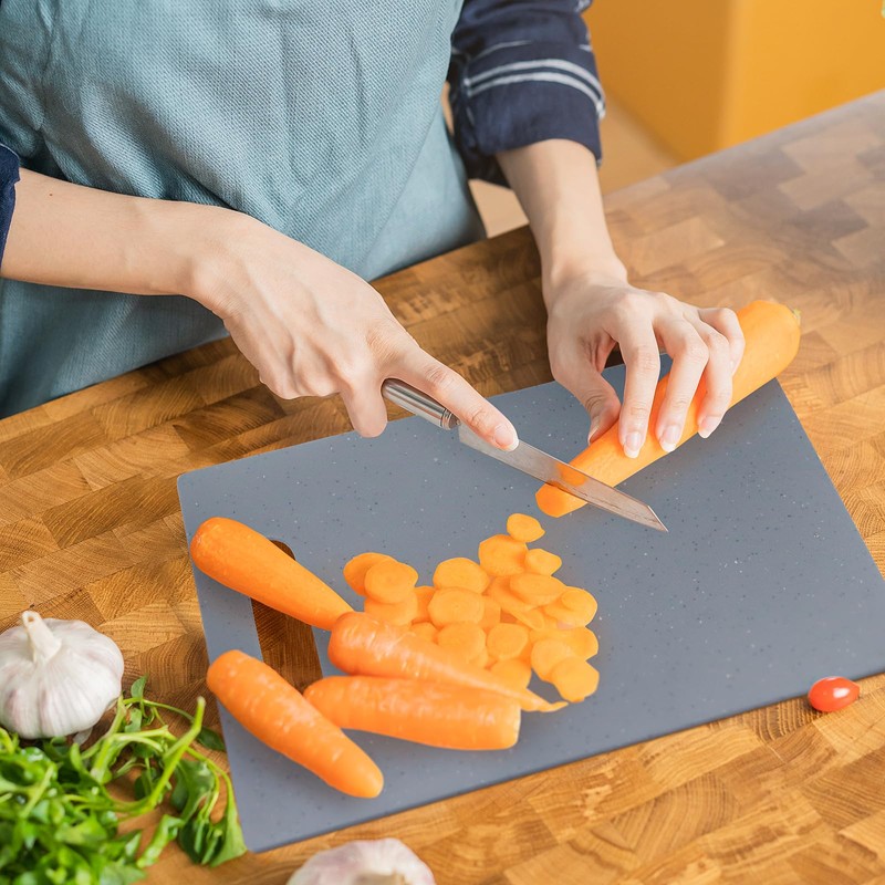 Cutting Board Set with Holder, 4 Pcs Plastic Cutting Boards