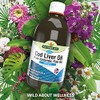 Natures Aid Cod Liver Oil Liquid (PACK OF 1), 500ml