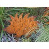 Garden Stake Hedgehog 25 cm x 18 cm Metal Rust