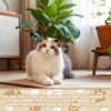 3 Pcs Flea Comb for Cats und Dog Comb Set,