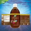 NutraSea NutraSea Omega-3 Kids (Bubblegum) 500 ml (Pack of 1)