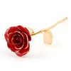 Rose Dipped in 24k Gold Forever Preserved Long Stem Rose